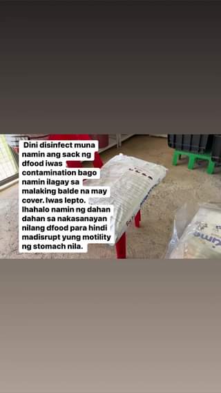 More tips. #arrfdavao #fypシ゚viral #StarsEverywhere #fyp #animalshelter #animalre…