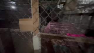 Our cat cages are covered at nightime to protect them ARRF DAVAO INC.