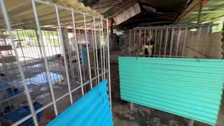 Plus 13 sa baba , 69 lahat. 
 Hindi pa kasali nasa old shelter which is ang baha…