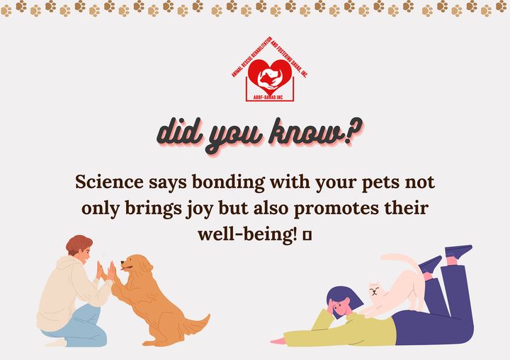 The Science of Bonding Strengthening Pet Connections Did you know ARRF DAVAO INC.