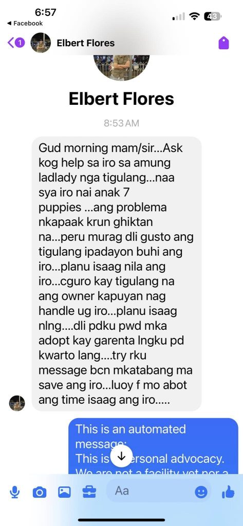 Please read and share This family needs a new home ARRF DAVAO INC.