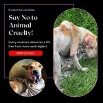 Animal cruelty and pet neglect are criminal offenses If you ARRF DAVAO INC.