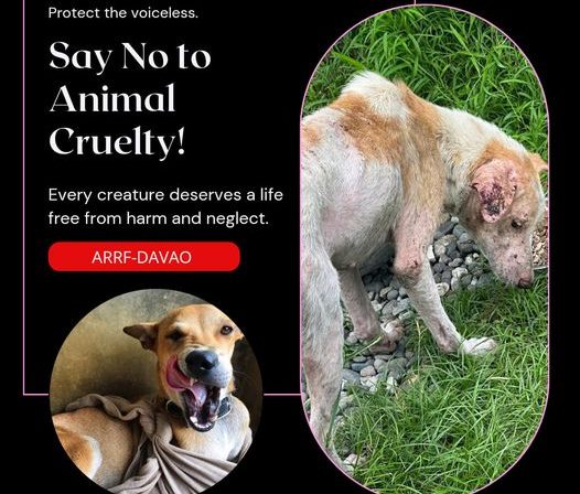 Animal cruelty and pet neglect are criminal offenses. If you witnessed any form …