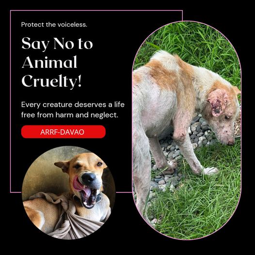 Animal cruelty and pet neglect are criminal offenses. If you witnessed any form …