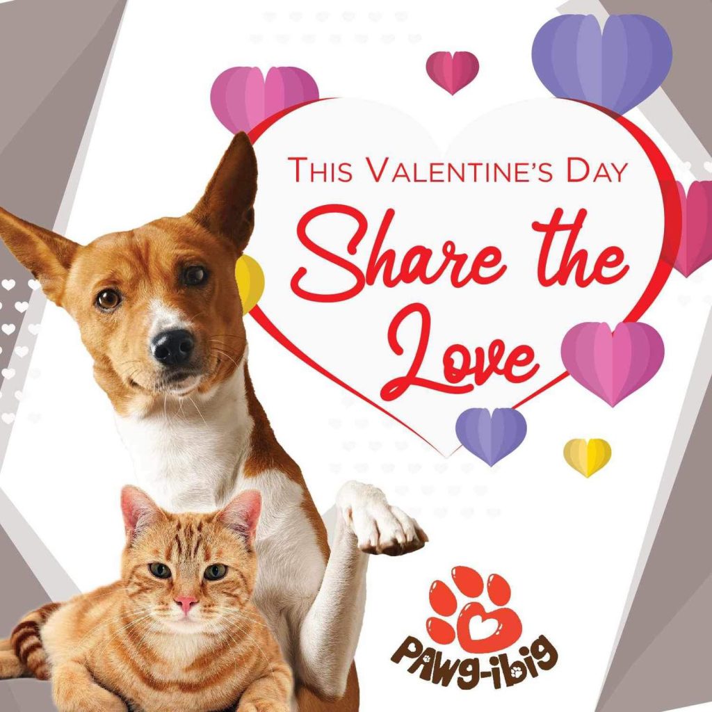 Share your love to our rescues Thank you Maxxs Pet ARRF DAVAO INC.