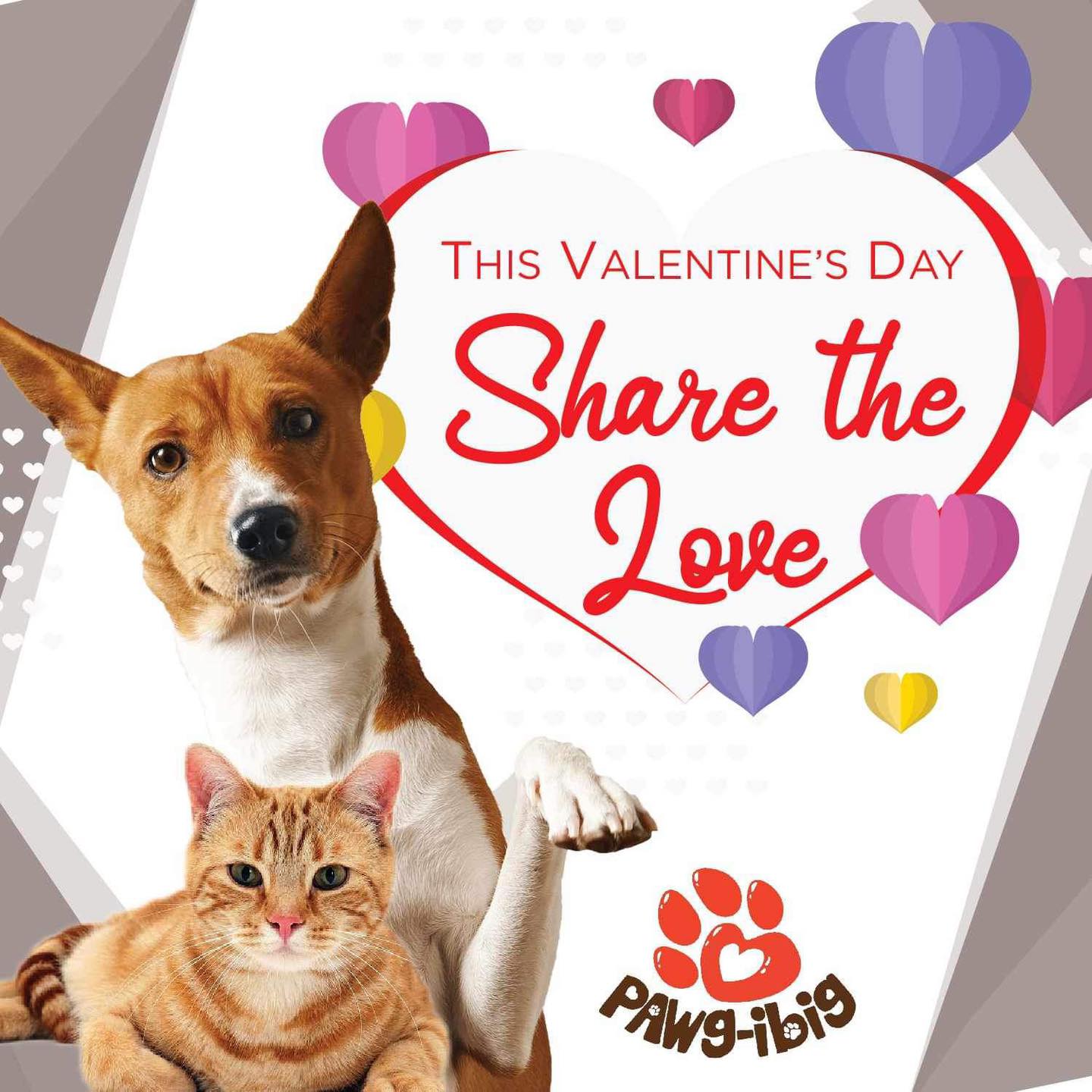 Share your love to our rescues. Thank you Maxx’s Pet Bowtique & Pawlor.  God…