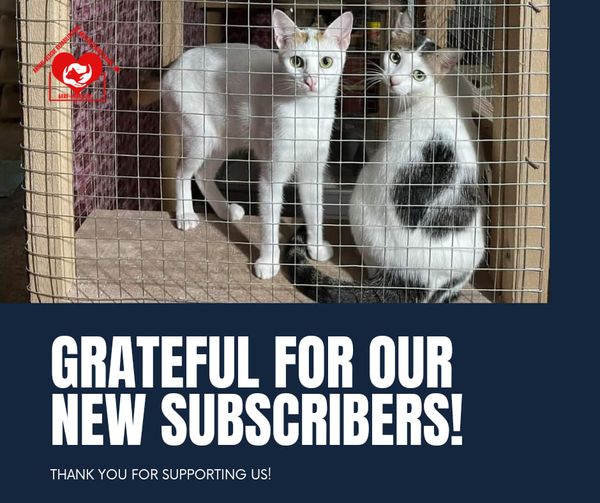 Welcome to all our new subscribers. You’re part of ARRF-DAVAO’s Circle of Hope. …